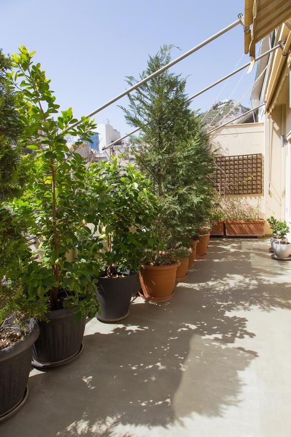 Beautiful Penthouse In Athens With Outside Jacuzzi Apartment Екстериор снимка